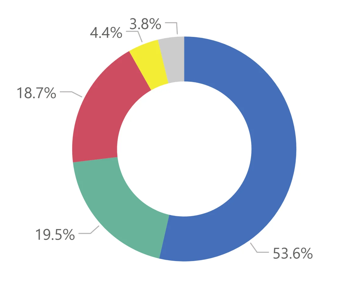 Donut chart after two categories were merged, now five segments, with the largest still just over half of the total